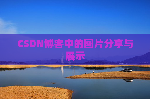 CSDN博客中的图片分享与展示